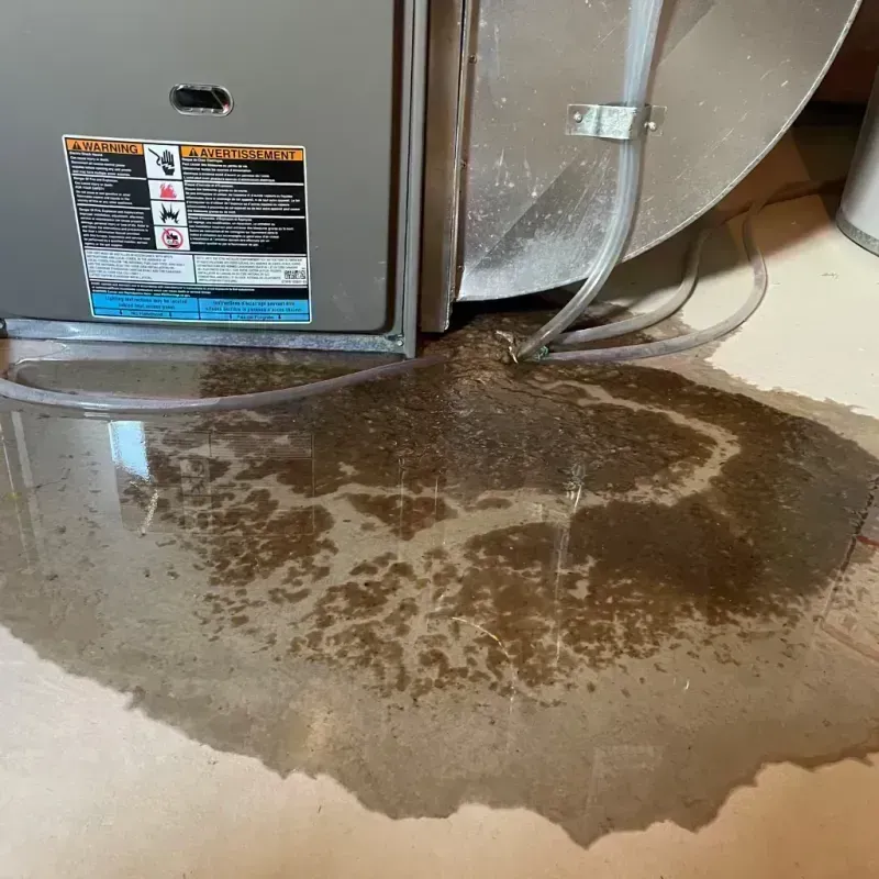 Appliance Leak Cleanup in Albuquerque, NM